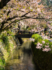 銀閣寺橋からの眺め