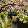 銀閣寺橋からの眺め