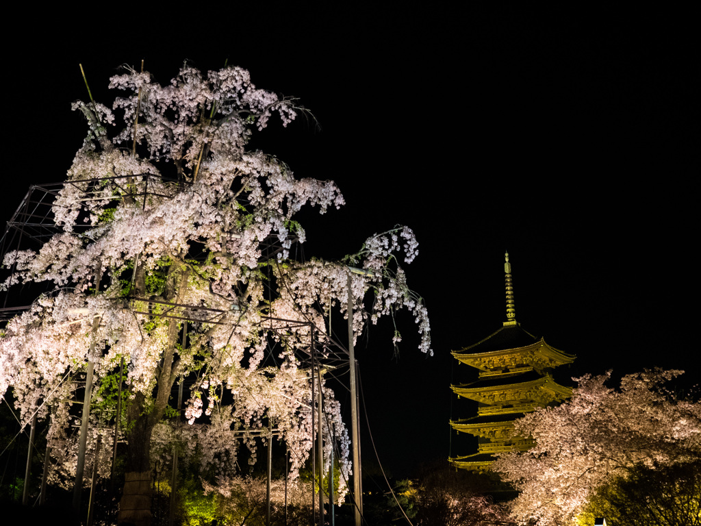 東寺ライトアップ①（京都）