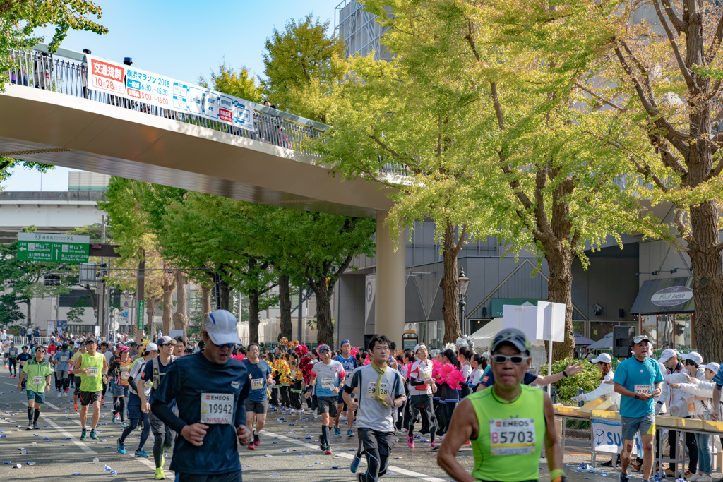 横浜マラソン　DSC06597