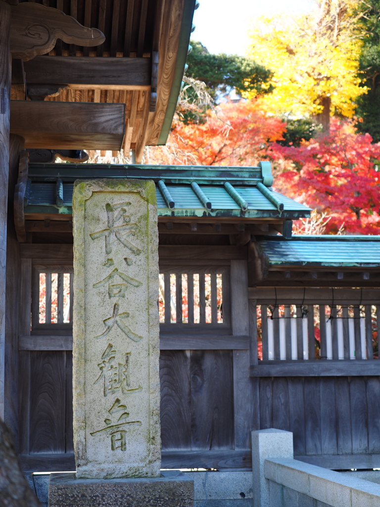 鎌倉長谷寺　１