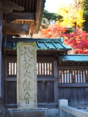 鎌倉長谷寺　１