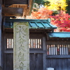 鎌倉長谷寺　１