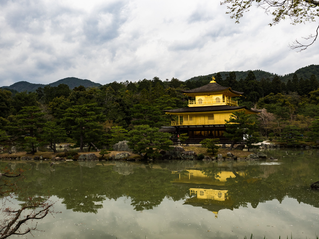 金閣寺雨模様①