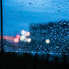 雨の日の散歩