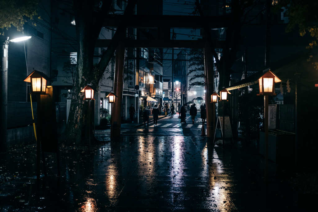 照らされる道