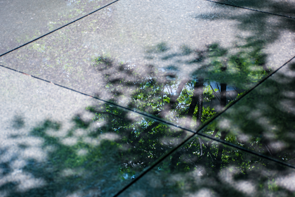 雨上がり