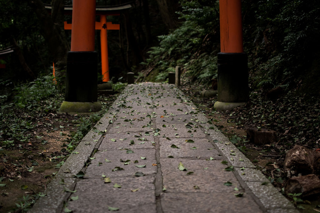 静かな道