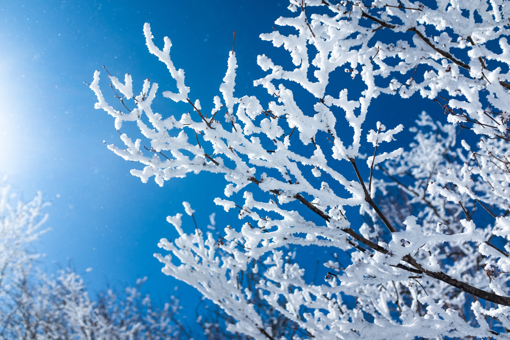 真・瑠璃色の雪 〜ふりむけば隣に〜