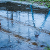 雨の公園