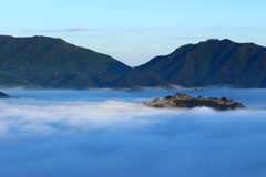 浮島の日光浴