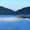浮島の日光浴