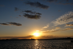DSC_2921
