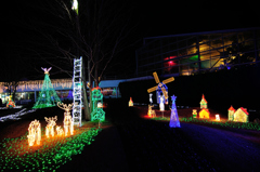 クリスマスの風物詩　４