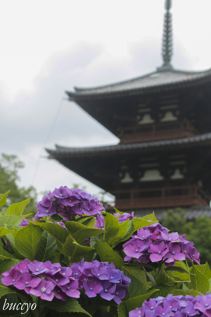 海龍王寺