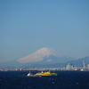 東京湾から見る富士山