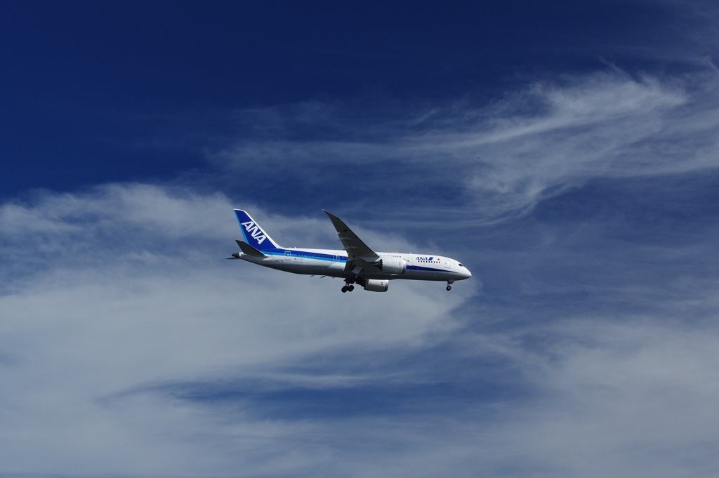 秋空