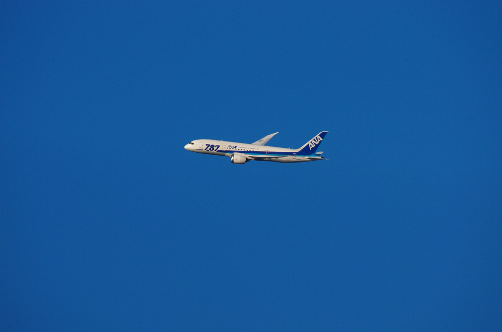 空を泳ぐ