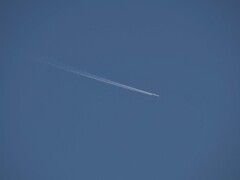 CL009 FL380