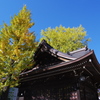 熊野神社の秋