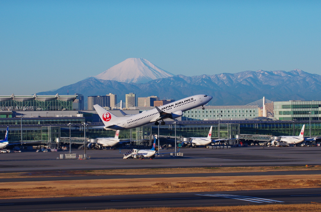 今日は富士山見えました