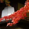三渓園散策⑧