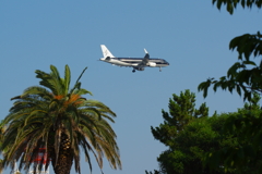 夏空　南風