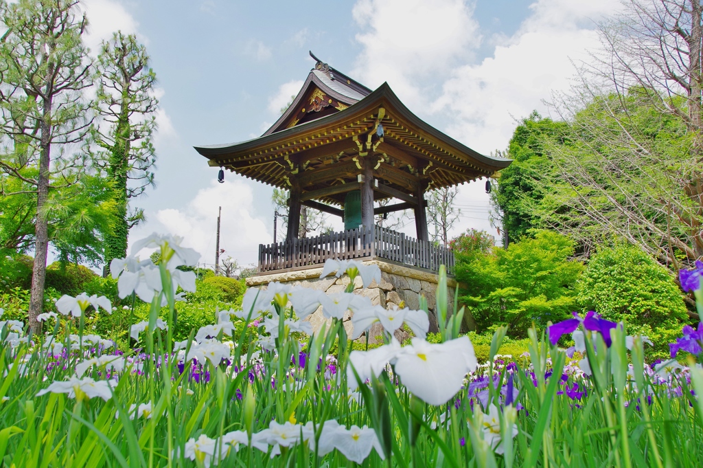 あるお寺のお庭