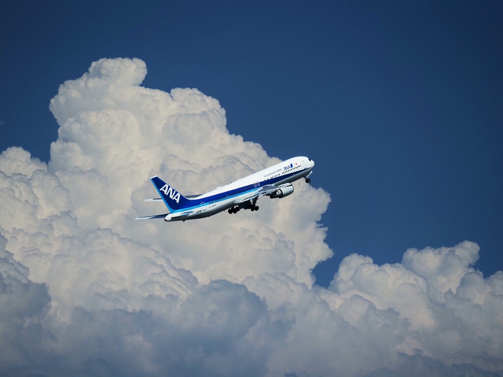 夏の空