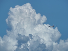 夏空