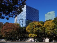 都心の秋