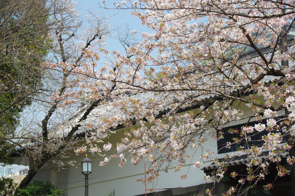 田安門