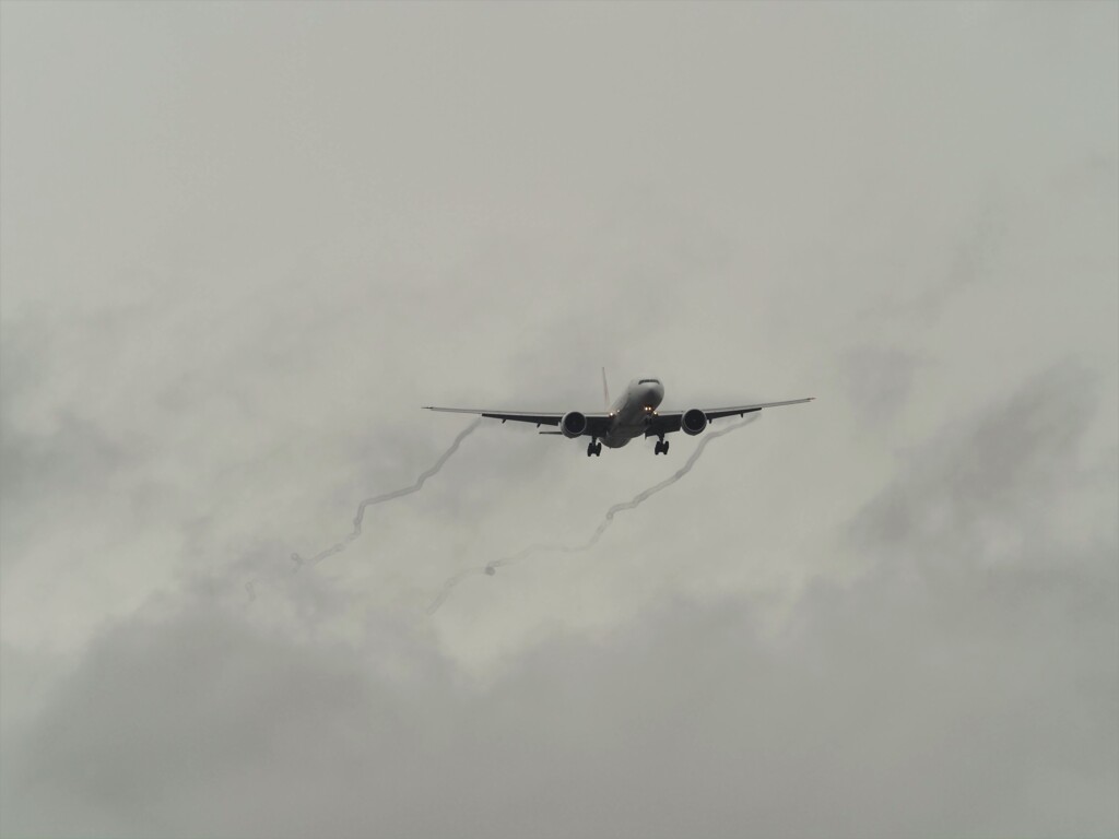 梅雨空が続きます