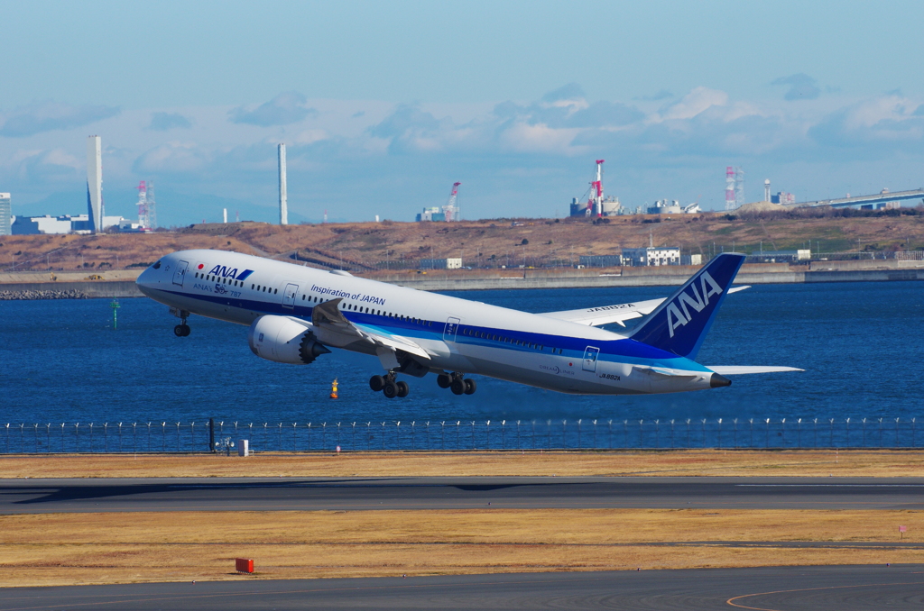 ANA‘s 50th 787
