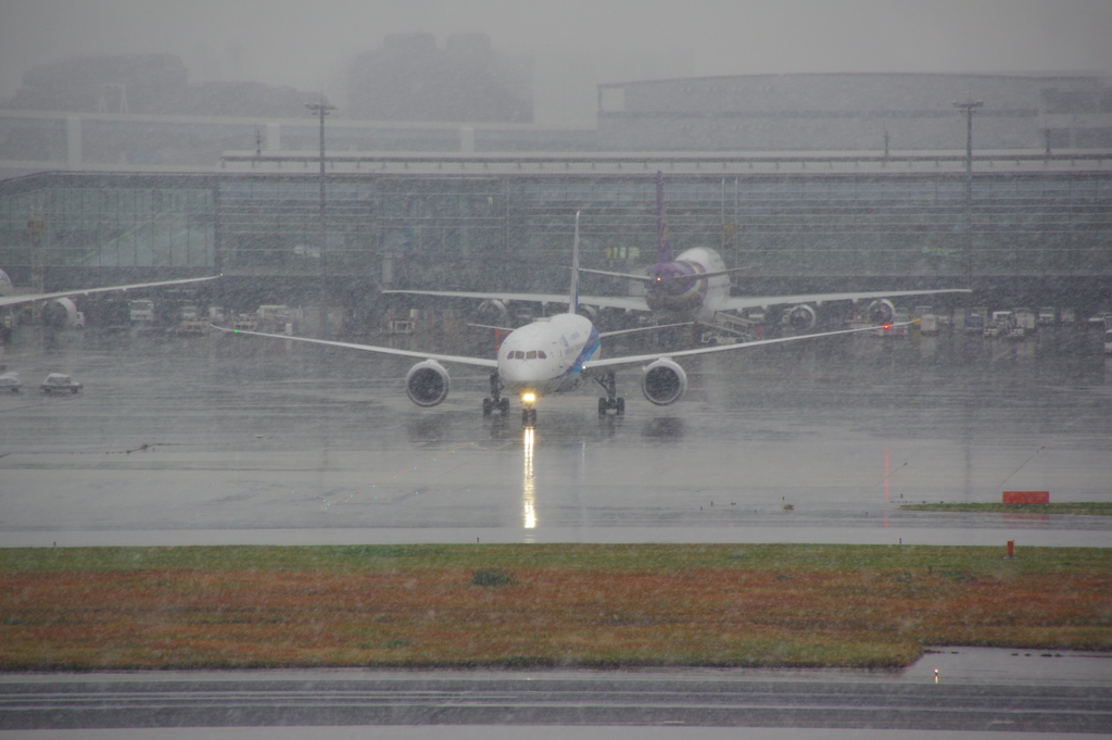 初雪の羽田空港
