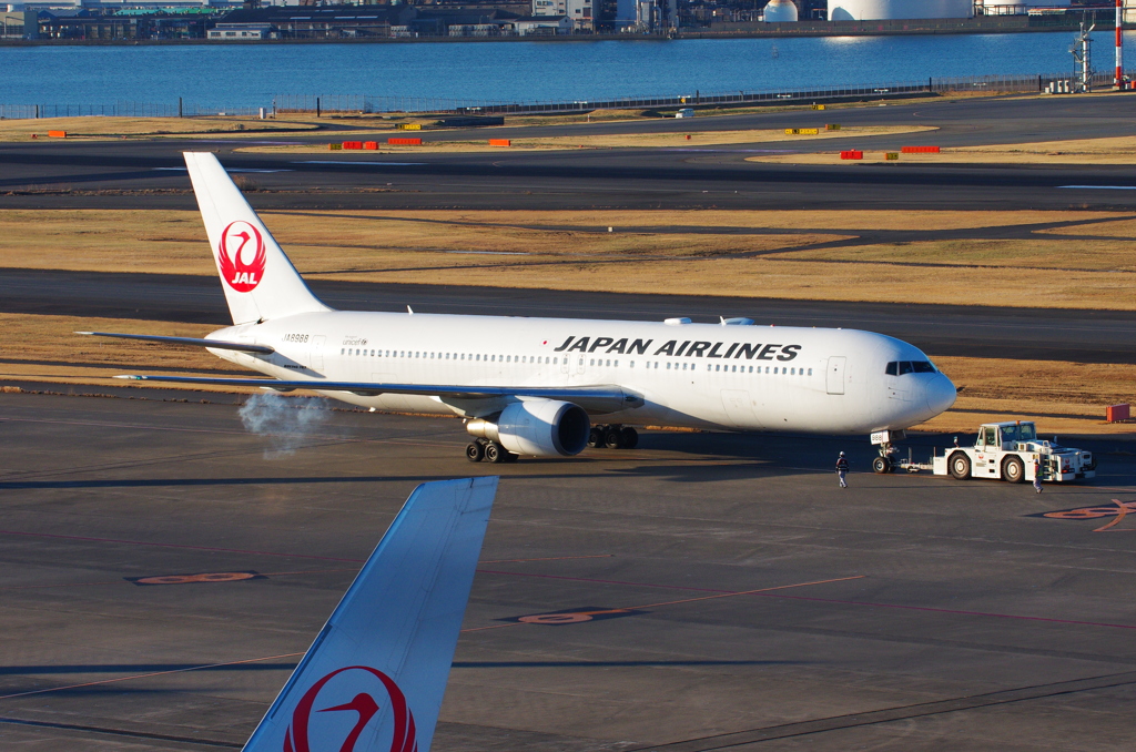 ぽっ。
