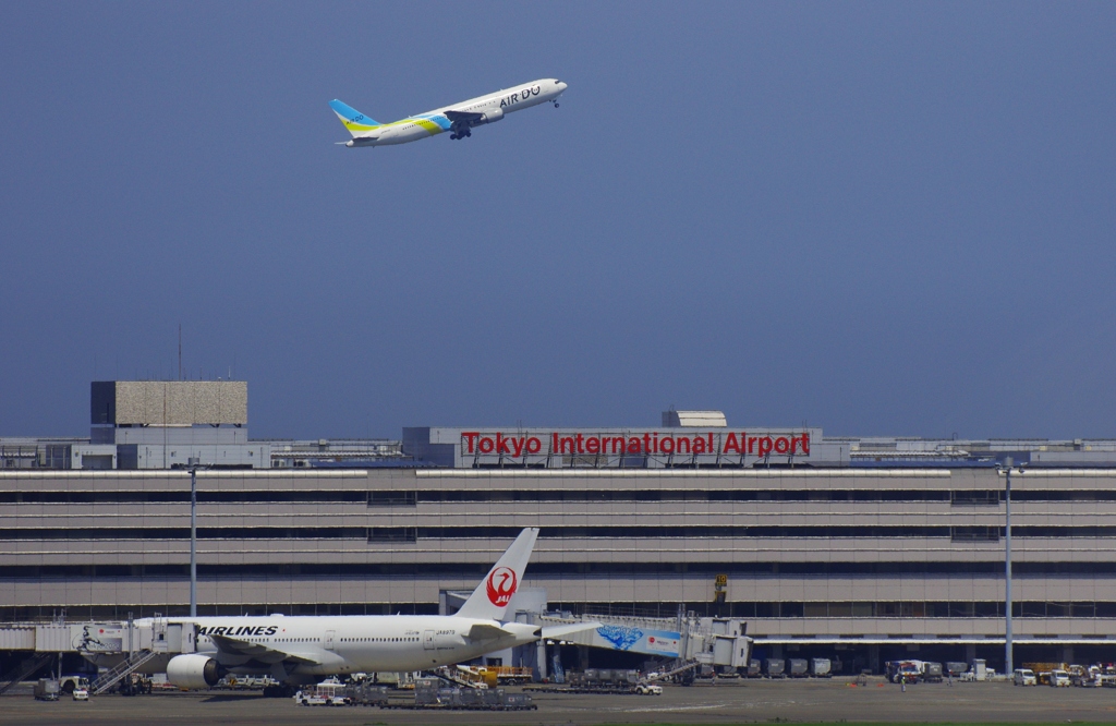 東京発北海道行