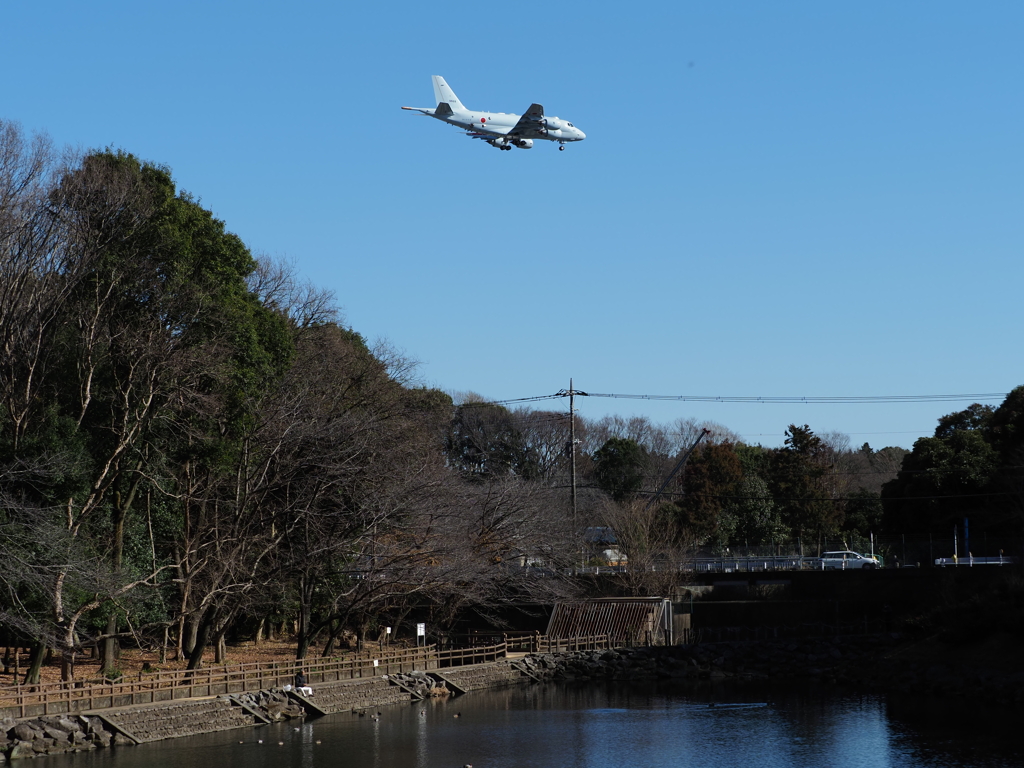 散歩で飛行機