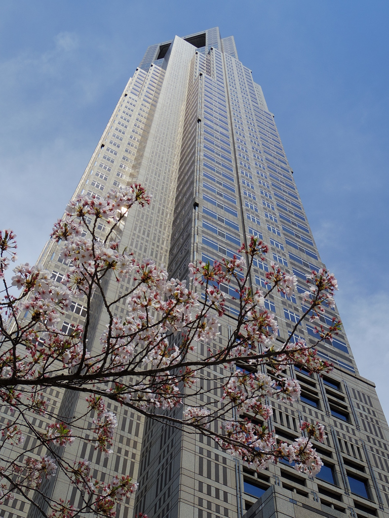 新宿小散歩