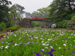 雨の小田原城①