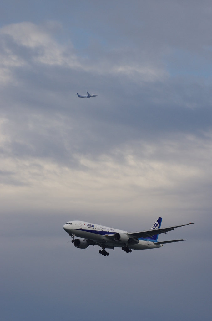 B7とB8