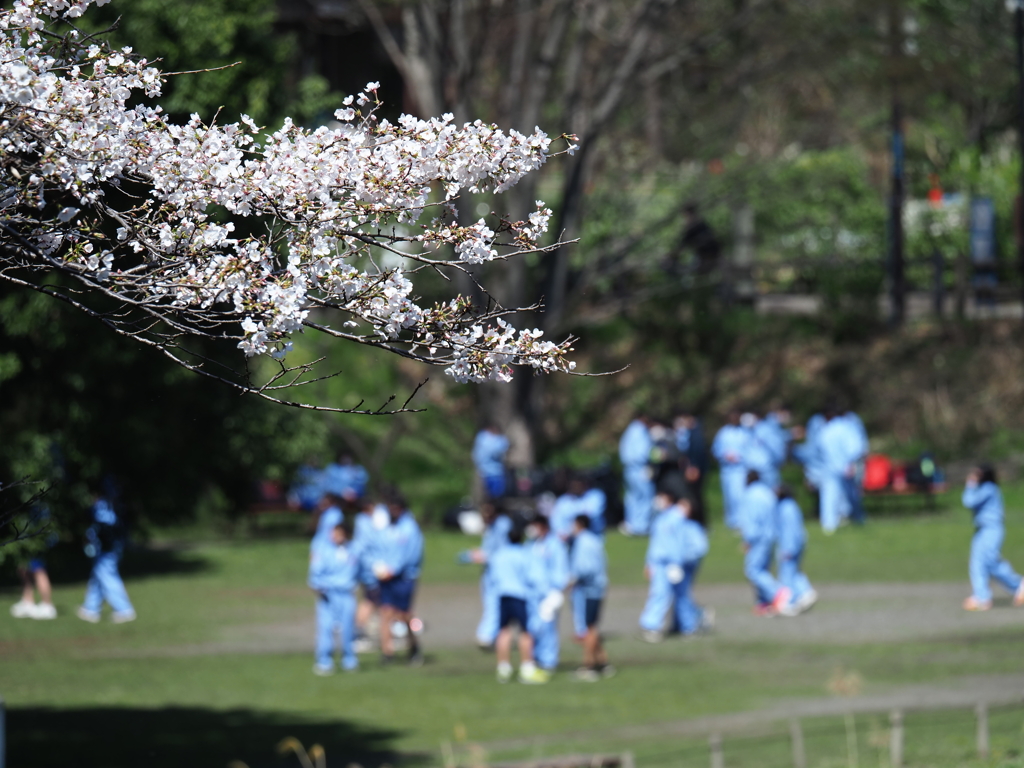 緊急事態宣言明けの公園