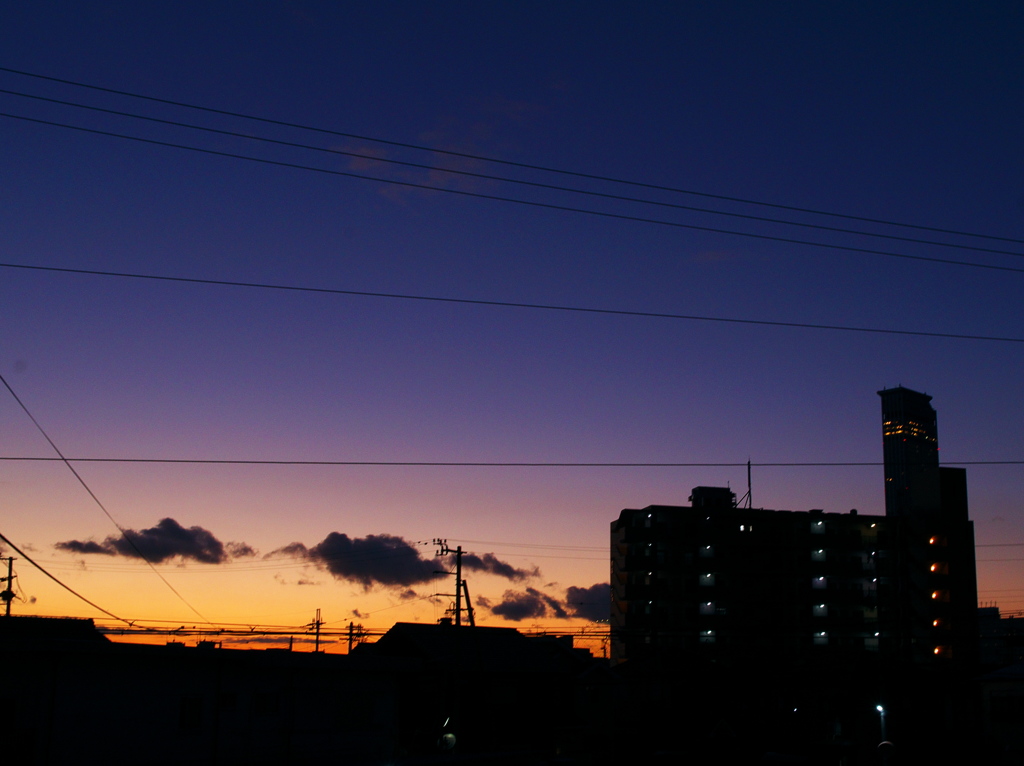 にちぼつ