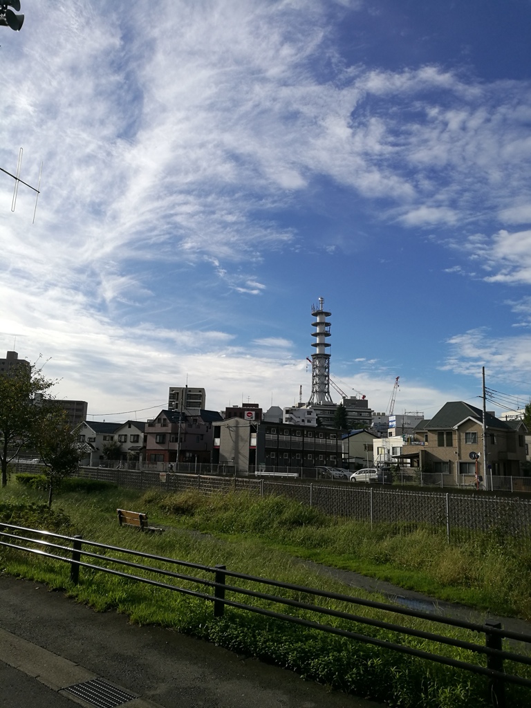 IMG_20161004_075925