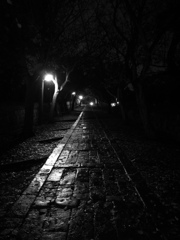 夜の参道