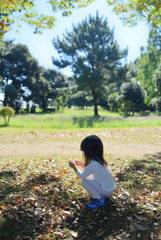 秋の公園散策