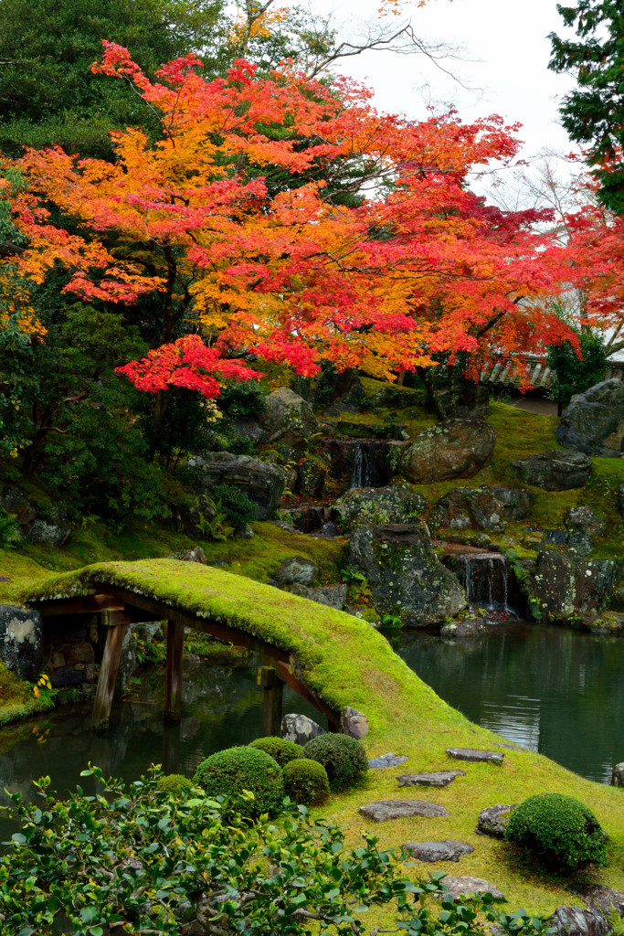 醍醐寺／三宝院