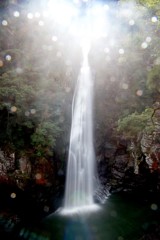 大分県 西椎屋の滝
