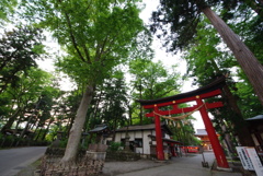 夕方の伊佐須美神社その2