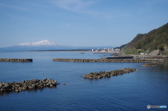 IMG_5259